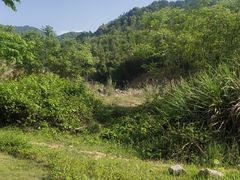 -初溪土楼群