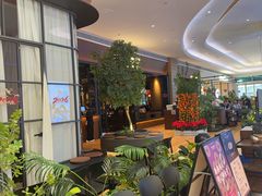 -同仁四季椰子鸡(宝安壹方城店)
