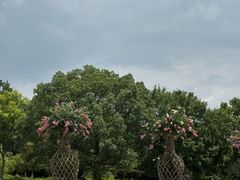 -浙江农林大学(东湖校区)