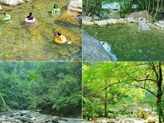 -大鄣山卧龙谷景区