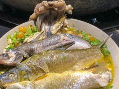 -石锅苗苗鱼(武汉首店)