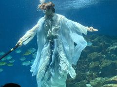 -海合安武汉极地海洋公园