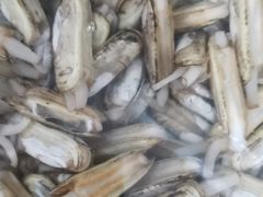 -宾朋海鲜特色美食餐厅·纯手工鲅鱼水饺(兴海路店)