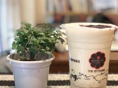 -宁茶·西宁特色奶茶(北家姓总店)