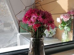 -双风车咖啡馆 Twin Windmills(六道口店)