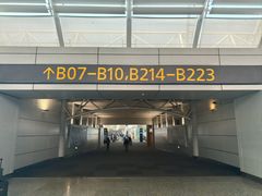 -广州白云国际机场-T1航站楼