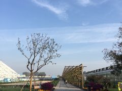 -南宫五洲植物乐园