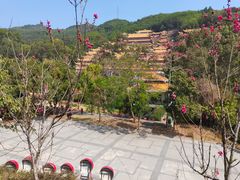 -东莞市大岭山森林公园