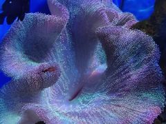 -多彩贵州城极地海洋世界