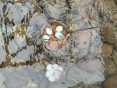 -天芳悦潭度假村温泉