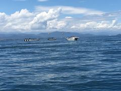 -东姑阿都拉曼海洋公园