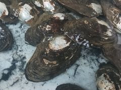 -八仔大富楼·河鲜(西江店)