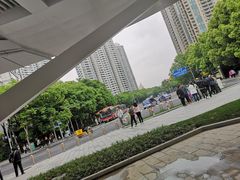 -黄浦江游览快线(金陵东路码头)