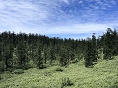 -瓦屋山景区