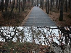 -帽儿山国家森林公园