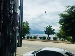 -野菌皇海景野生菌火锅(滨海大道店)