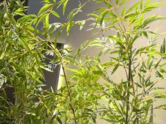 -百富源·海鲜辽菜(张士店)