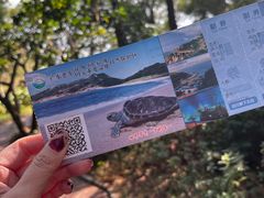 -广东惠东海龟国家级自然保护区