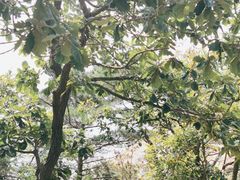 -棒棰岛宾馆景区