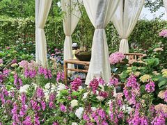 -武汉园博园(武汉自然博物馆)