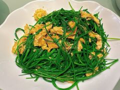 -哈啾嗨·新概念蒙餐(红星新城店)