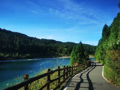 -武陵山森林公园