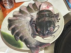 -桃源村铁锅炖鱼(体育馆道店)