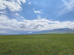 -新疆那拉提国家旅游度假区