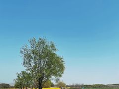 -嘉北郊野公园