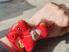 -京菜·砂锅居·烤鸭(西四店)