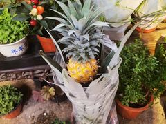 -双季花艺园艺市场(浦东店)