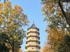 -灵谷景区