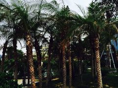 -渔岛海洋度假区