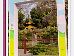 -嘉定紫藤园