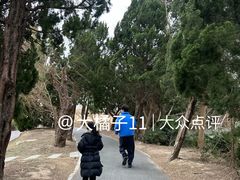 -盐城丹顶鹤湿地生态旅游区