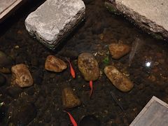 -邈墨茶馆(大兜路1号店)