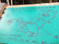 -五营红松林海景区