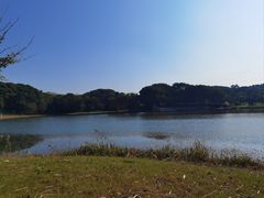 -新洲生态园