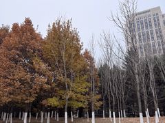 -长春世界雕塑园冰雪艺术天地