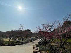 -苏州上方山国家森林公园