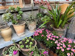 -龙姐私房菜(和顺古镇店)