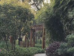 -徐家汇源景区-衡山公园