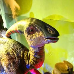 -恐龙探索乐园(磁器口店)