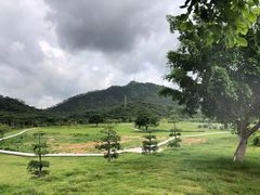 -风云岭森林公园