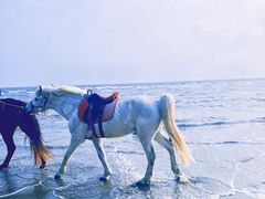 -南澳海滩