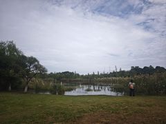 -白鹭湾湿地公园