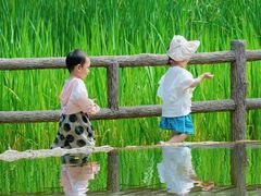 -成都市活水公园