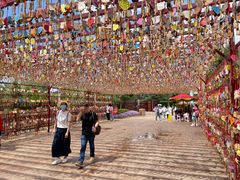 -七彩云南欢乐世界