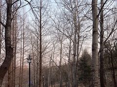 -白水寺森林公园