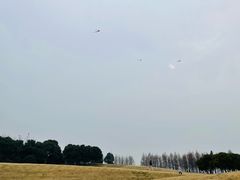 -滆湖低碳生态公园